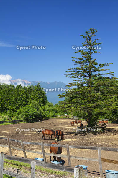木曽馬の里と御嶽山 [KNO110022721]