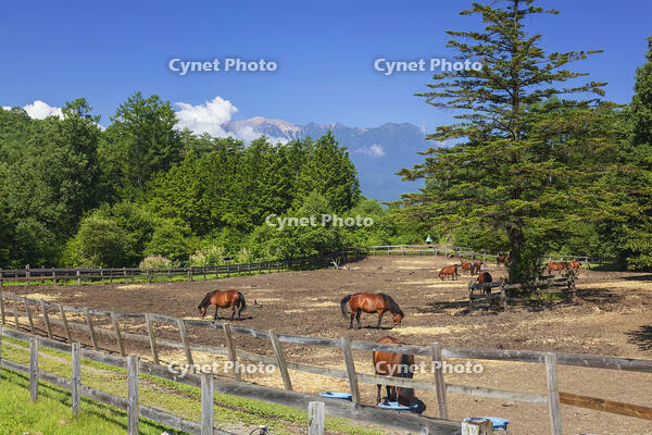木曽馬の里と御嶽山 [KNO110022722]