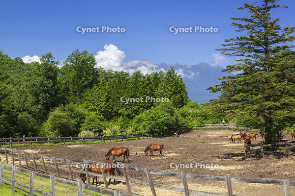 木曽馬の里と御嶽山 [KNO110022723]