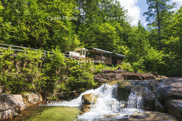 赤沢自然休養林の赤沢森林鉄道 [KNO110022726]