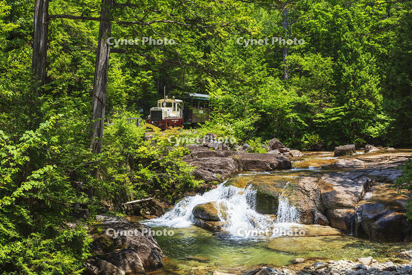 赤沢自然休養林の赤沢森林鉄道 [KNO110022728]