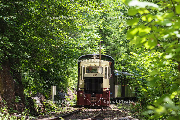 赤沢自然休養林の赤沢森林鉄道 [KNO110022730]