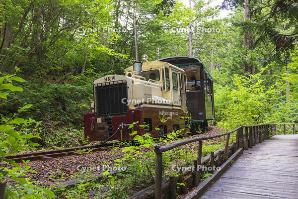 赤沢自然休養林の赤沢森林鉄道 [KNO110022732]