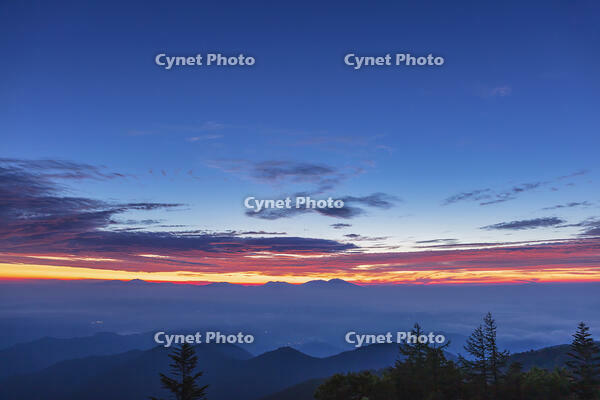 道の駅美ヶ原の展望台より雲海と朝焼け [KNO110022737]