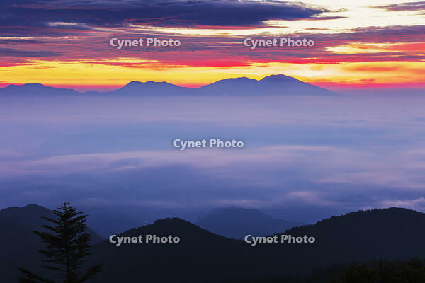 道の駅美ヶ原の展望台より雲海と朝焼け [KNO110022739]