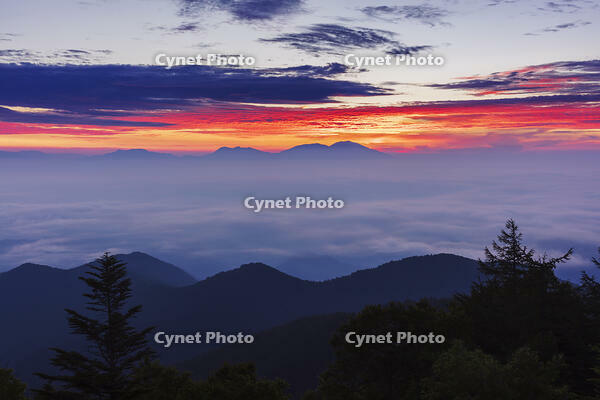 道の駅美ヶ原の展望台より雲海と朝焼け [KNO110022740]