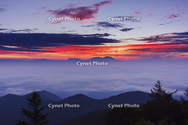 道の駅美ヶ原の展望台より雲海と朝焼け [KNO110022741]