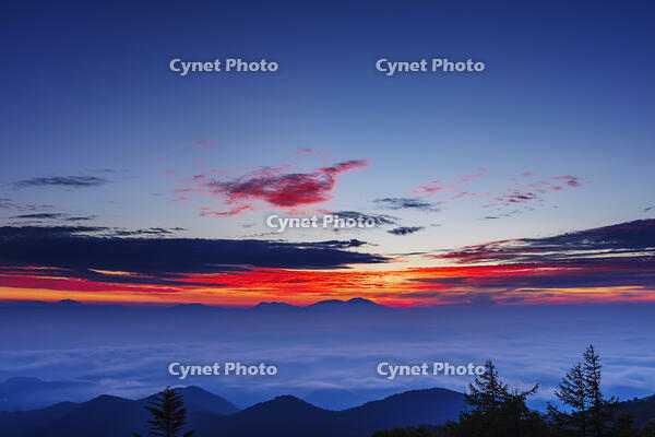 道の駅美ヶ原の展望台より雲海と朝焼け [KNO110022742]