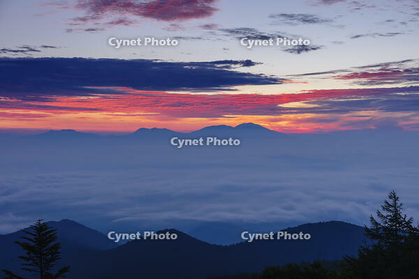 道の駅美ヶ原の展望台より雲海と朝焼け [KNO110022743]