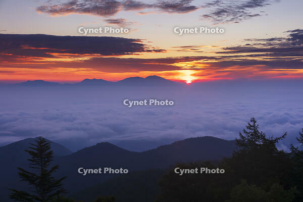道の駅美ヶ原の展望台より浅間山と日の出 [KNO110022748]