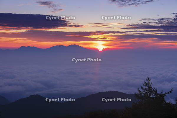 道の駅美ヶ原の展望台より浅間山と日の出 [KNO110022749]