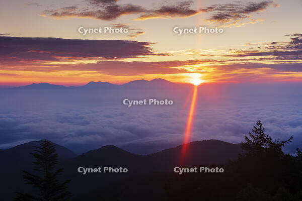 道の駅美ヶ原の展望台より浅間山と日の出 [KNO110022750]