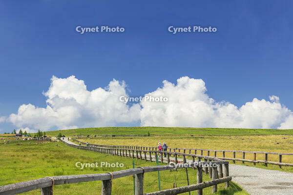 美ヶ原高原 [KNO110022761]