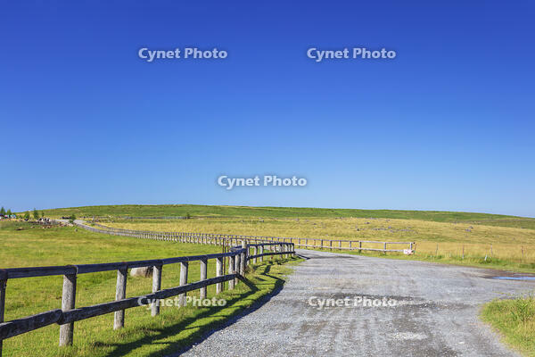 美ヶ原高原 [KNO110022762]