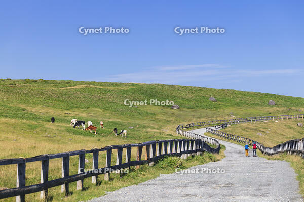 美ヶ原高原 [KNO110022764]