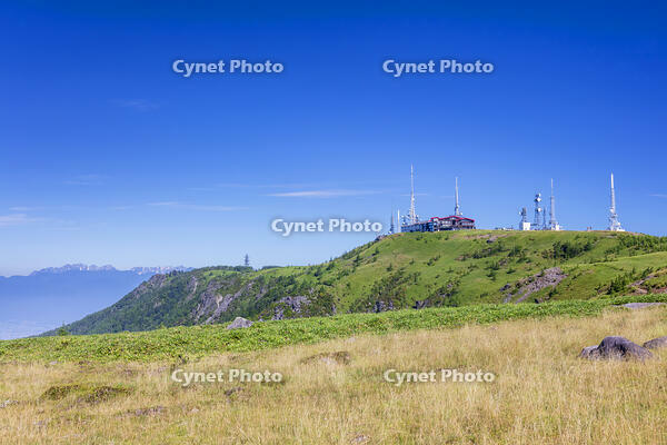 美ヶ原高原の王ヶ頭 [KNO110022782]