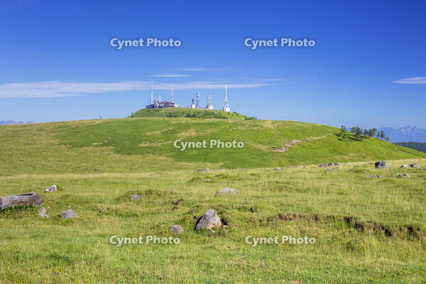 美ヶ原高原の王ヶ頭 [KNO110022784]