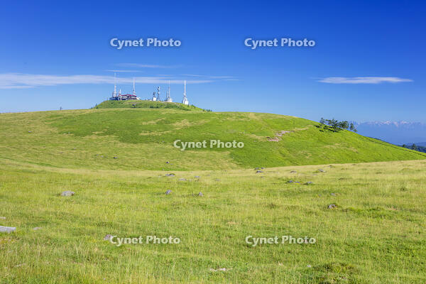 美ヶ原高原の王ヶ頭 [KNO110022785]