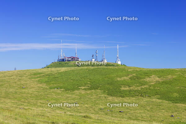 美ヶ原高原の王ヶ頭 [KNO110022787]