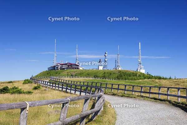 美ヶ原高原の王ヶ頭 [KNO110022789]