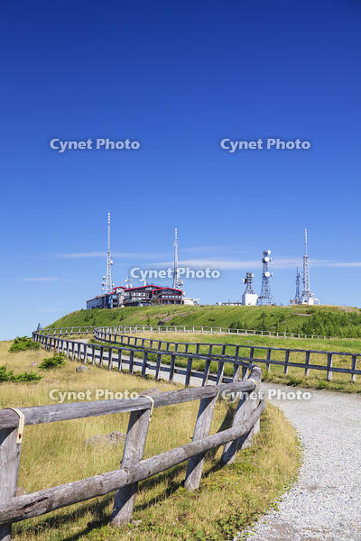 美ヶ原高原の王ヶ頭 [KNO110022790]