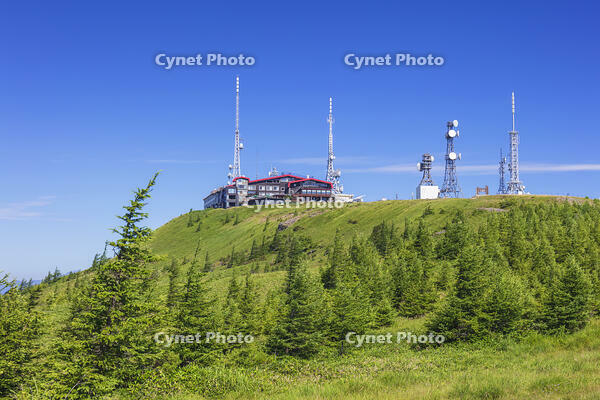 美ヶ原高原の王ヶ頭 [KNO110022791]