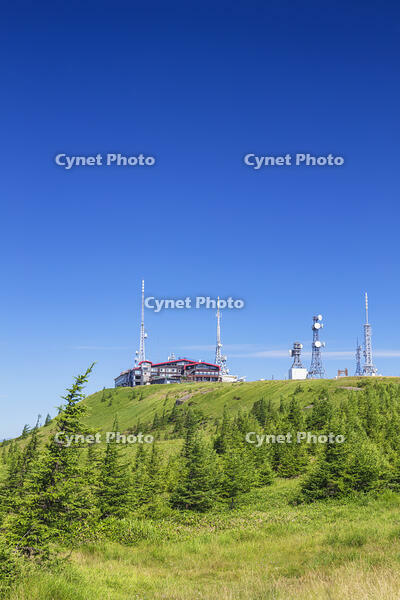 美ヶ原高原の王ヶ頭 [KNO110022792]