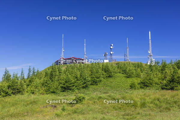 美ヶ原高原の王ヶ頭 [KNO110022793]