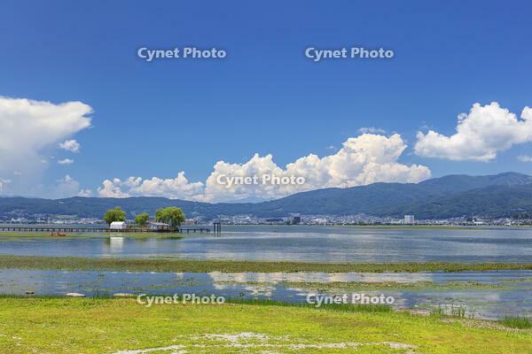 夏の諏訪湖 [KNO110022807]