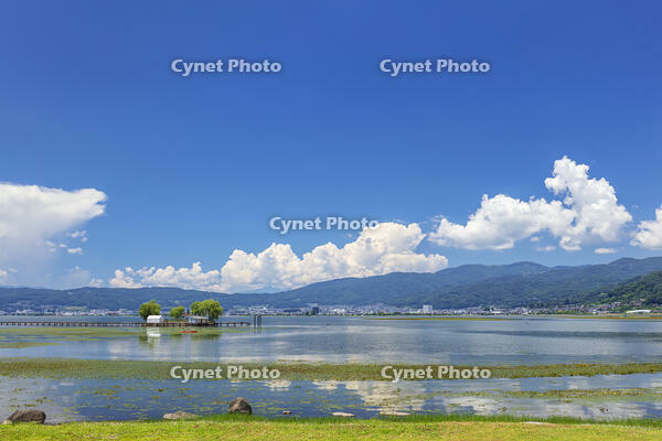 夏の諏訪湖 [KNO110022808]