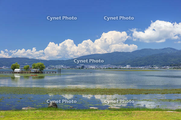 夏の諏訪湖 [KNO110022809]