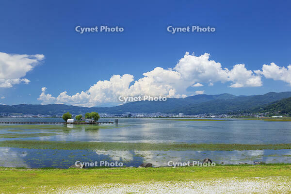 夏の諏訪湖 [KNO110022810]