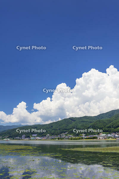 夏の諏訪湖 [KNO110022815]
