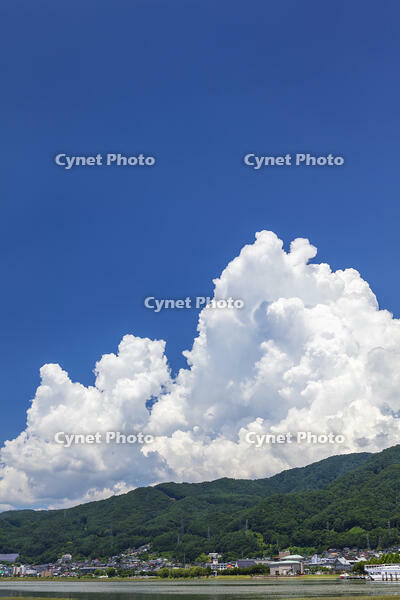 夏の諏訪湖 [KNO110022818]