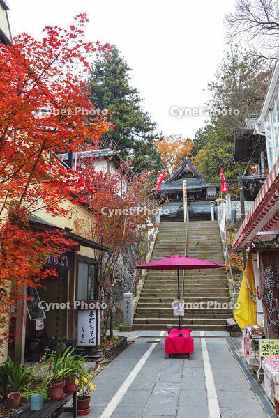 北向観音の参道 [KNO110023539]