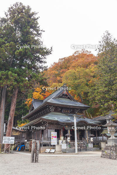 北向観音 [KNO110023542]