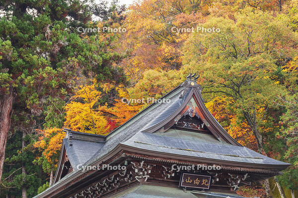 北向観音 [KNO110023543]