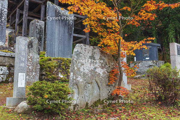 北向観音境内の芭蕉翁句碑 [KNO110023547]