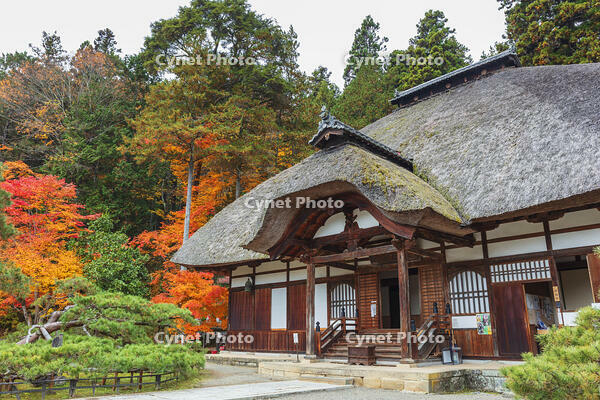 常楽寺本堂と紅葉 [KNO110023555]