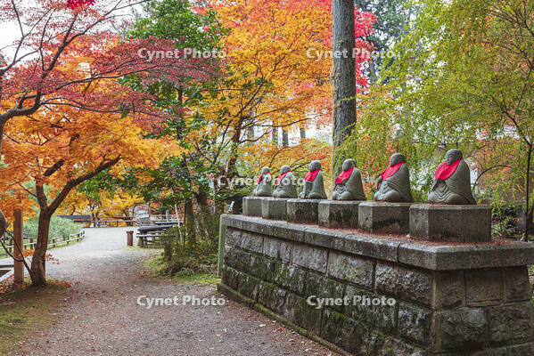 常楽寺の六地蔵と紅葉 [KNO110023557]