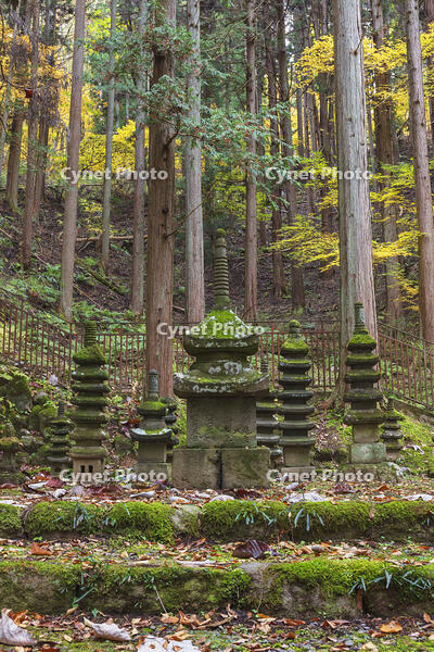 常楽寺石造多宝塔 [KNO110023561]