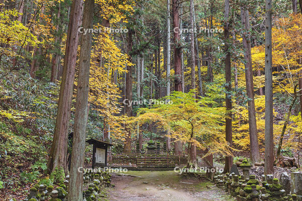 常楽寺石造多宝塔 [KNO110023562]