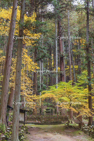 常楽寺石造多宝塔 [KNO110023563]