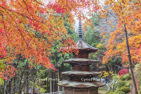 安楽寺八角三重塔 [KNO110023566]