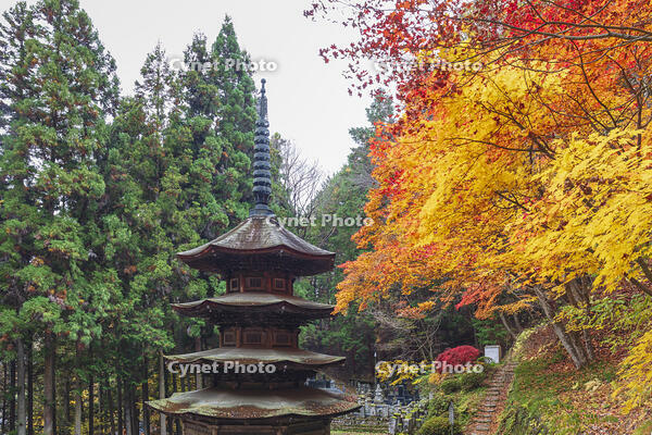 安楽寺八角三重塔 [KNO110023569]