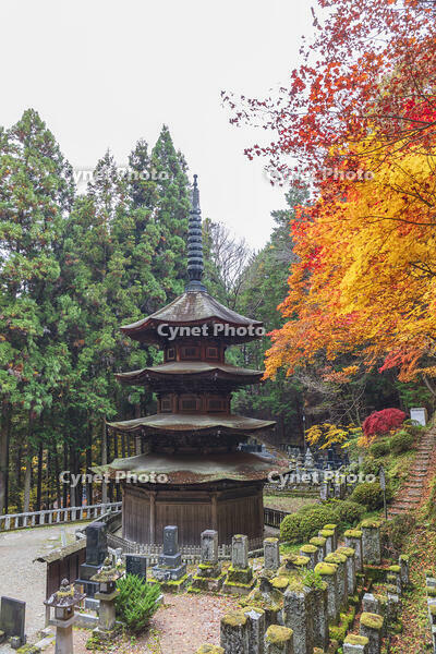 安楽寺八角三重塔 [KNO110023570]