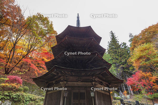 安楽寺八角三重塔 [KNO110023571]