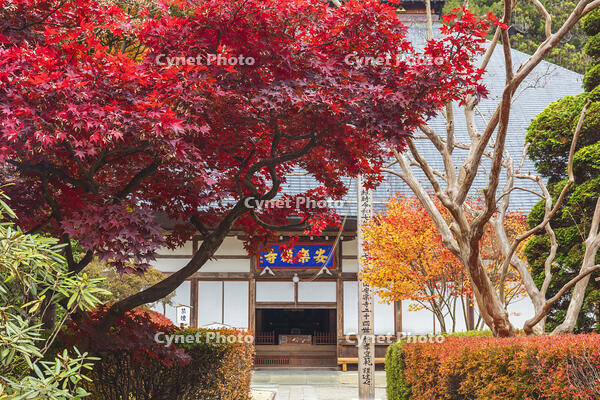 安楽寺本堂 [KNO110023572]