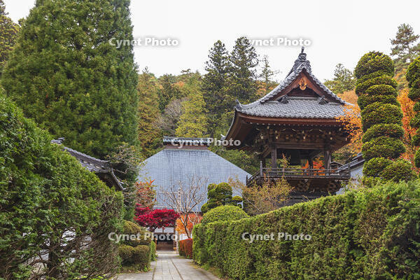 安楽寺 [KNO110023573]