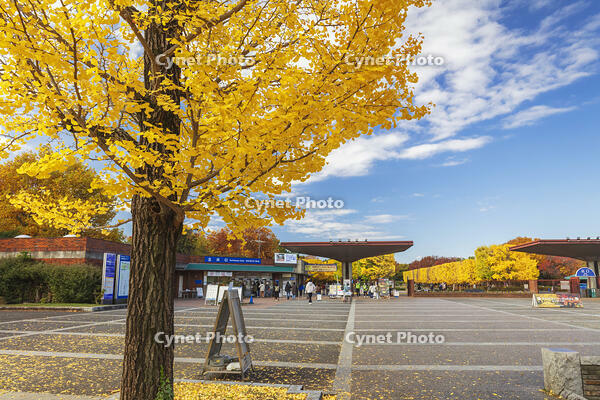 国営昭和記念公園の立川口 [KNO110023574]